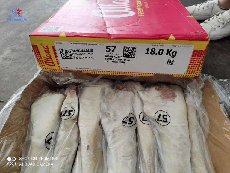 Đuôi Trâu Ấn Độ – M57