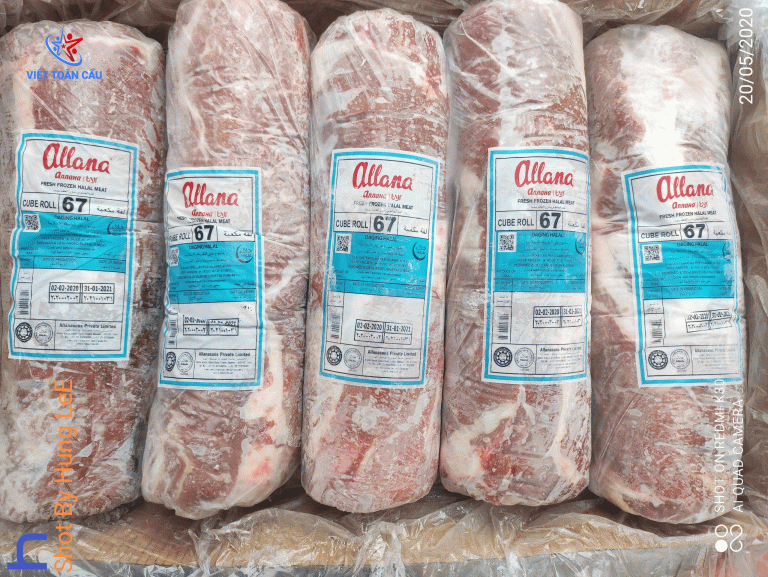 Đầu Thăn Trâu Ấn Độ – M67