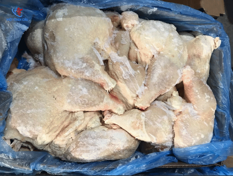 Đùi Gà góc tư chọi mái Lamex Mỹ