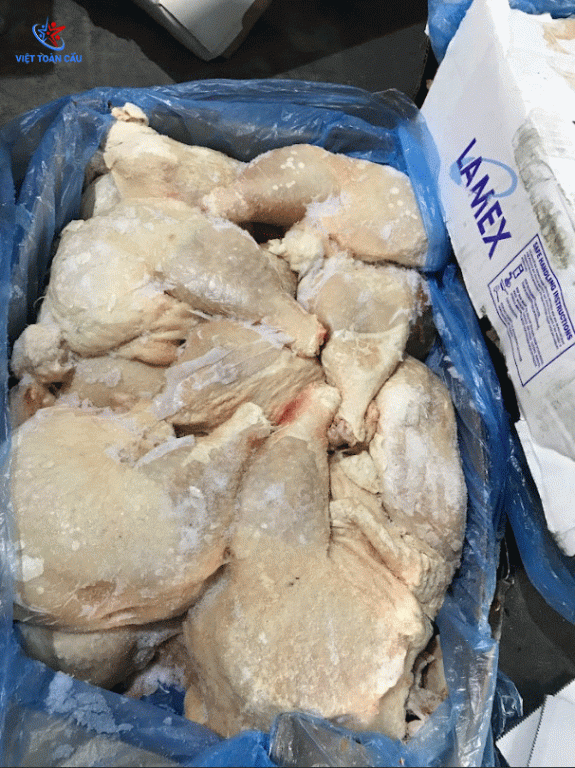 Đùi Gà góc tư chọi mái Lamex Mỹ