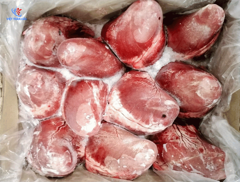 Tim Trâu Ấn Độ M83